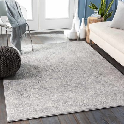 Modern Gray Area Rug - Cozy Living Room Decor