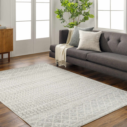 Gray Area Rug - Modern Cozy Living Room Decor
