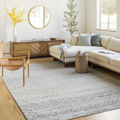 Gray Area Rug - Modern Cozy Living Room Decor