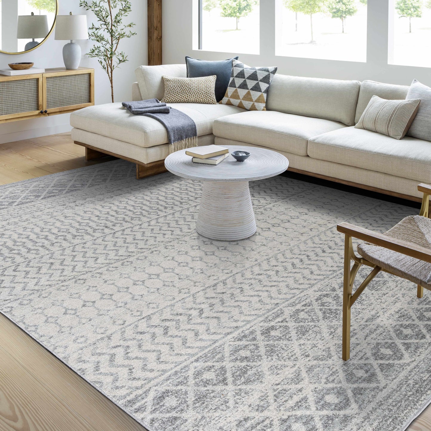 Gray Area Rug - Modern Cozy Living Room Decor
