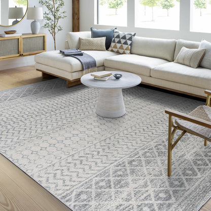 Gray Area Rug - Modern Cozy Living Room Decor