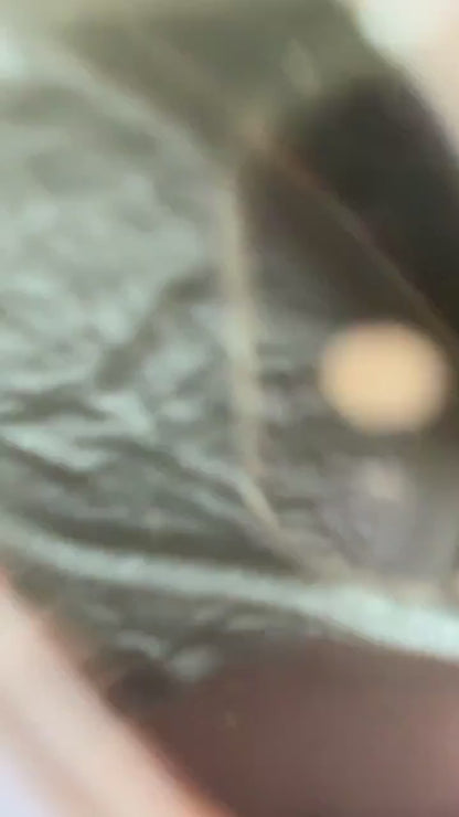 Set of 6 Small Unlacquered Brass Mirror - Small Decorative Mirrors