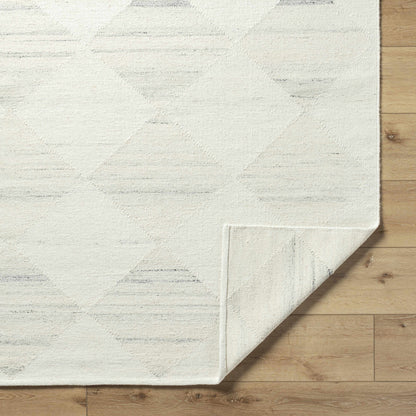 Rakin Area Rug - Soft Stylish Modern Floor Covering