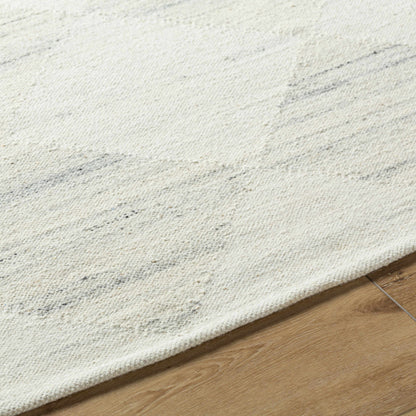 Rakin Area Rug - Soft Stylish Modern Floor Covering