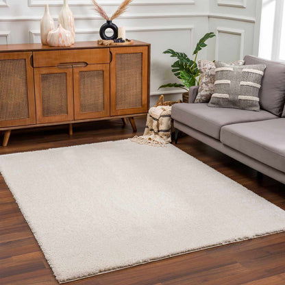 Beige Plush Area Rug - Cozy Home Décor Accent