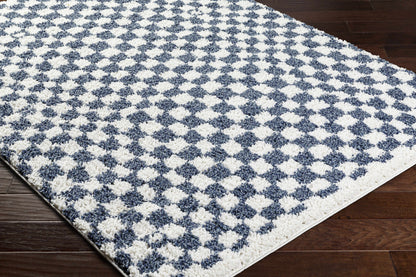 Blue White Checkered Area Rug - Stylish Home Decor Accent