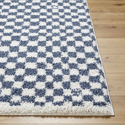 Blue White Checkered Area Rug - Stylish Home Decor Accent