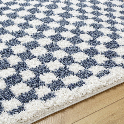 Blue White Checkered Area Rug - Stylish Home Decor Accent