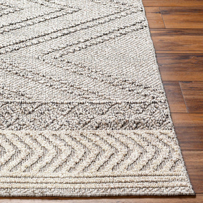 Beige and Gray Area Rug - Stylish Soft Versatile Home Décor