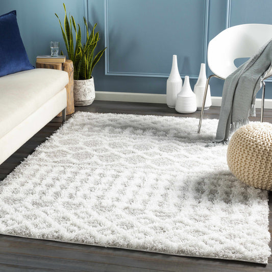 Vernonburg Shag Area Rug - Soft Cozy Modern Living Room Decor
