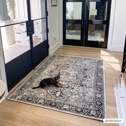 Washable Area Rug - Stylish Durable Easy Clean Rug for Any Room