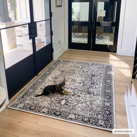 Washable Area Rug - Stylish Durable Easy Clean Rug for Any Room