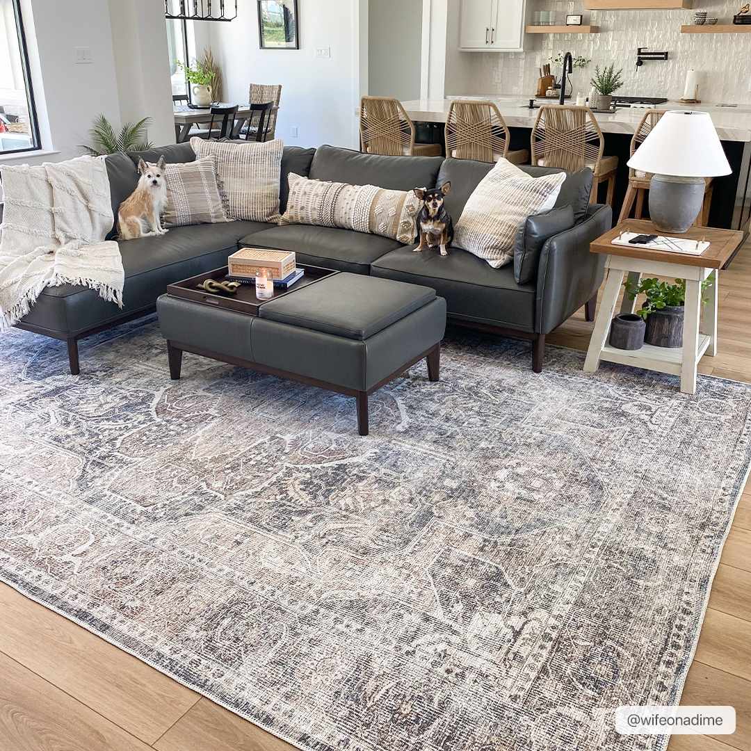 Washable Mignon Area Rug - Stylish Durable Easy Clean Rug
