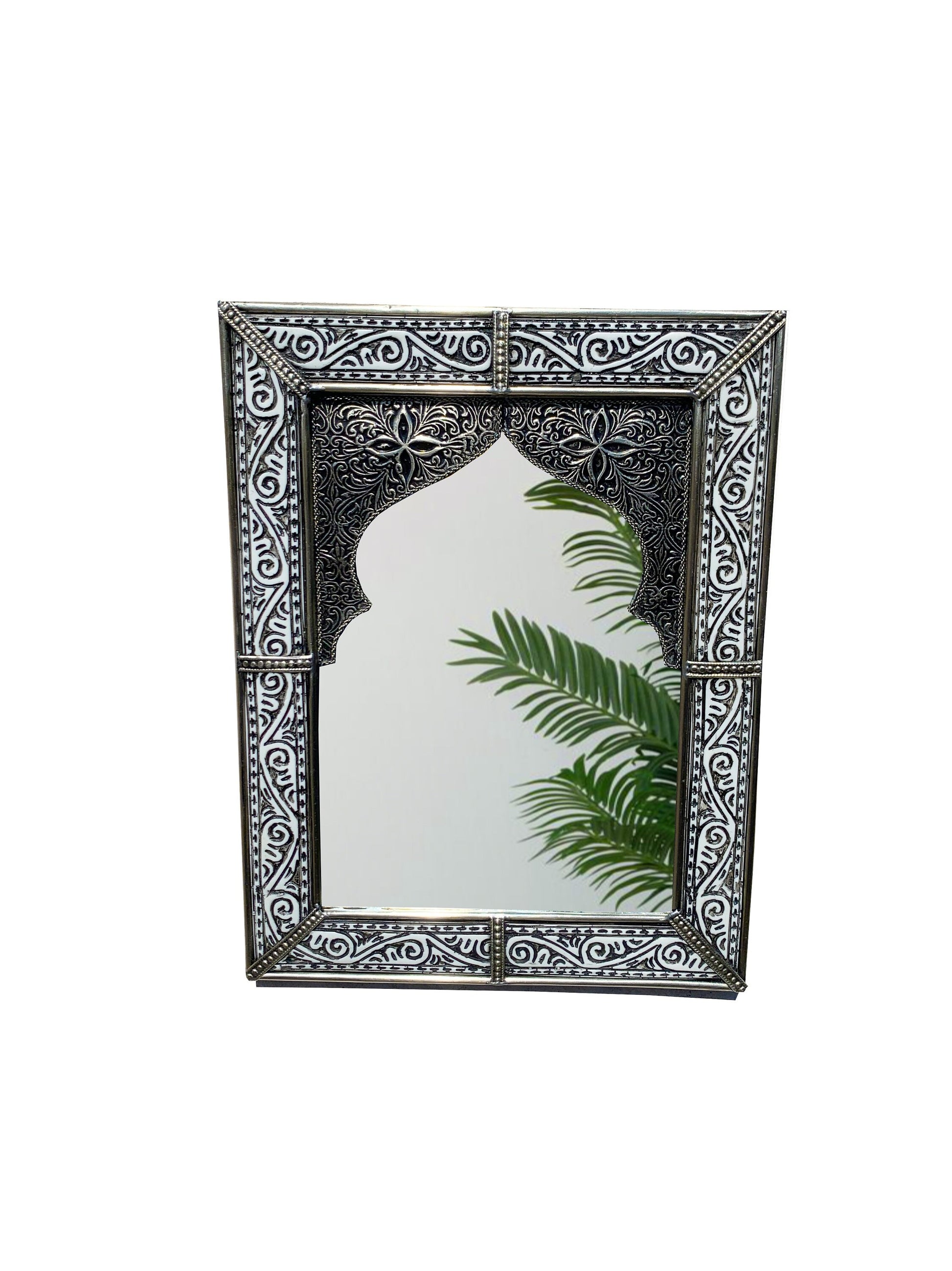 a mirror that has a plant in it