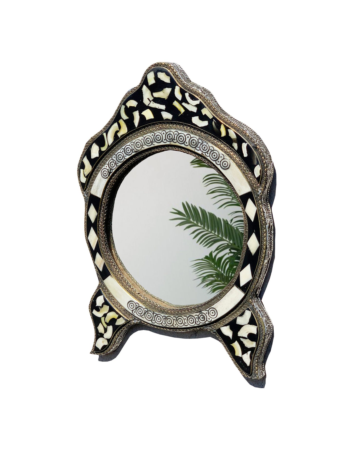 a mirror that has a plant in it